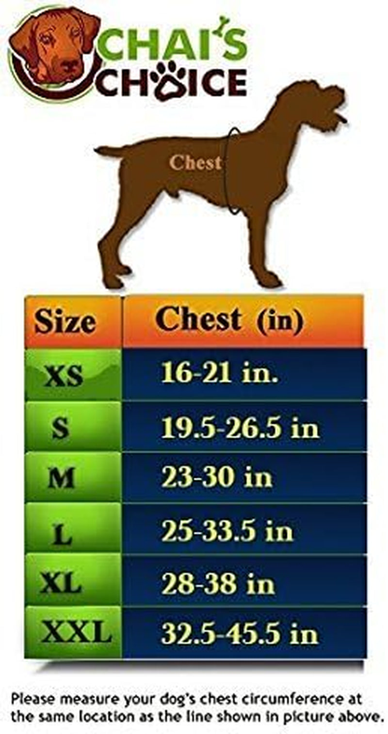 Dog Harness Vest X Small (Teal Blue) | Comfortable & Lightweight Soft Padded Vest for Service Dogs | No-Choke & Easy Control Pet Oxford | 3M Reflective Patches for Dog Visibility