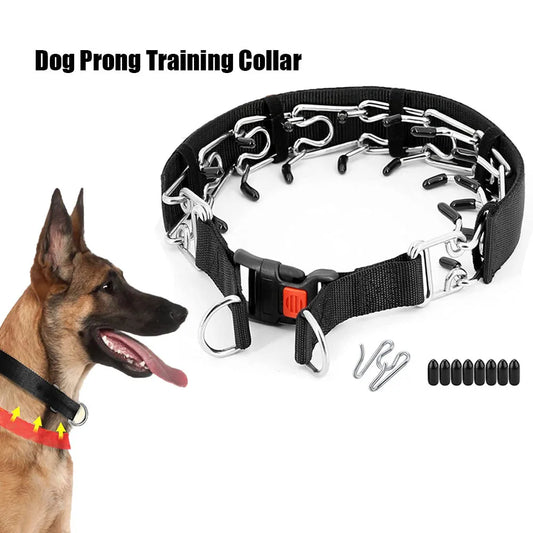 Prong Training Collar for Dogs - Stainless Steel with Rubber Tips for Safe Training - Deribla Store