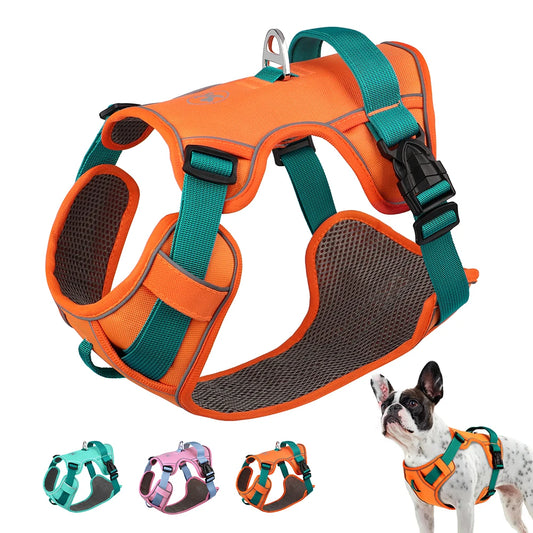 Mesh Dog Harness