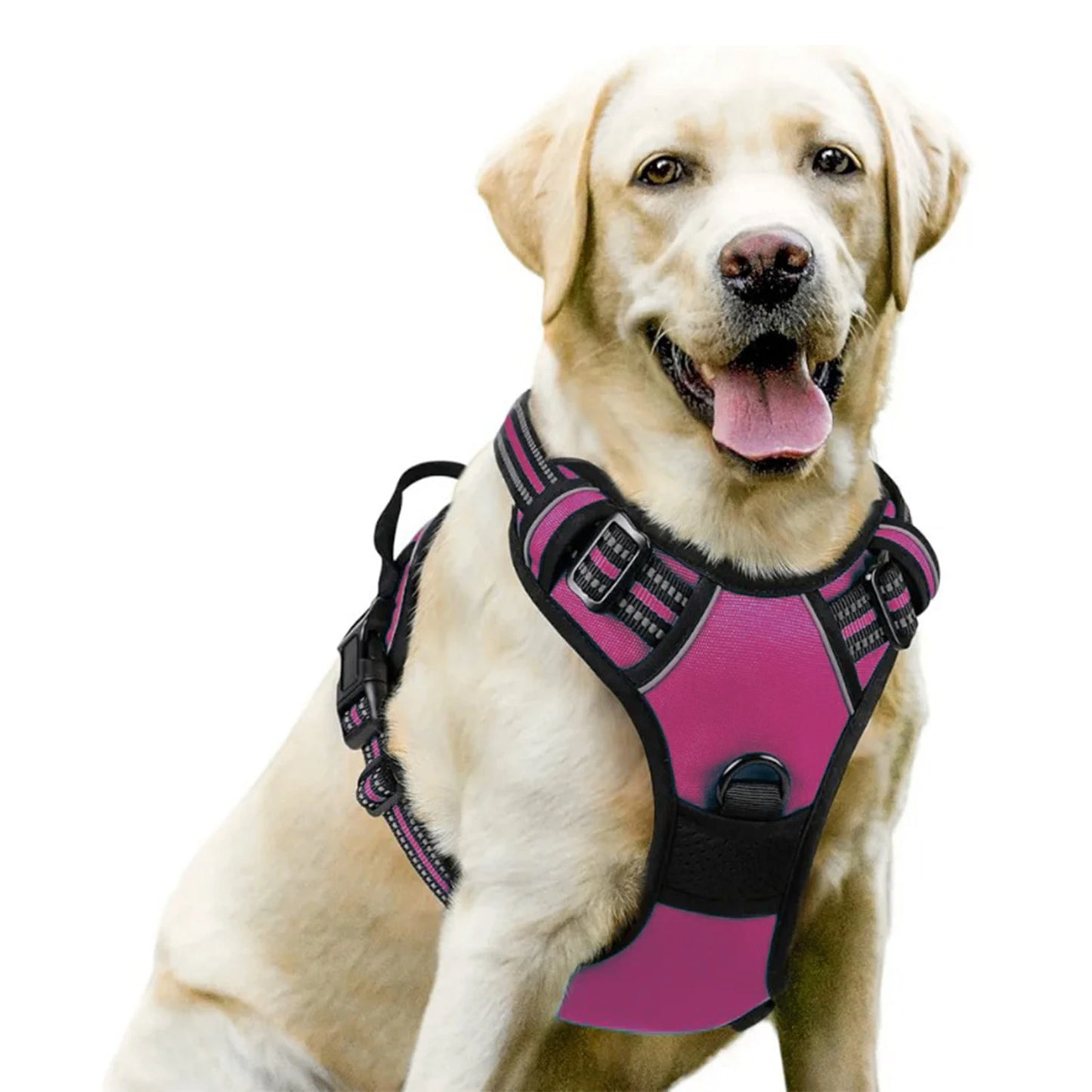 No-Pull Dog Harness - Padded Oxford Vest with Control Handles for Large Dogs - Deribla Store