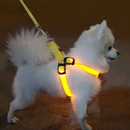 LED Dog Harness