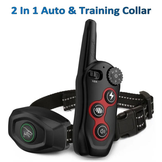 Dog Training Collar