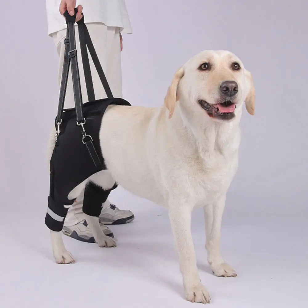 Dog Lift Harness - Adjustable Rear Leg Support with Padded Handle for Senior Dogs - Deribla Store