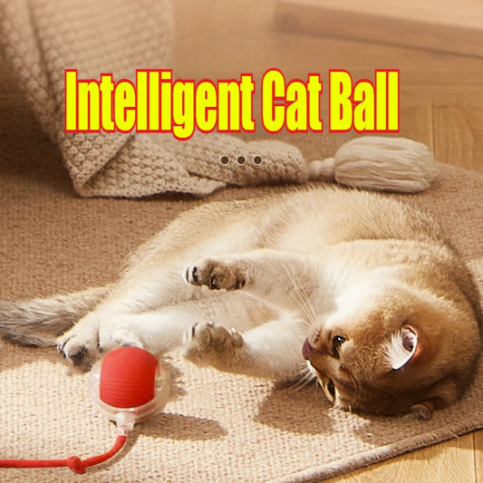 Interactive Cat Ball Toy - Automatic Rolling Ball with Tail & USB Rechargeable - Deribla Store
