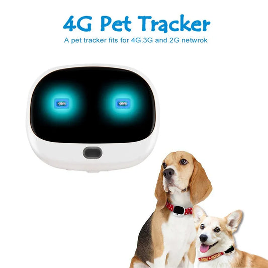 4G GPS Pet Tracker