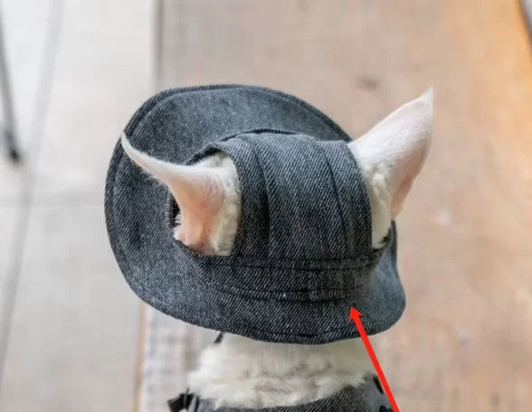 Luxury Cat Carrier Backpack with Harness - Travel Bag for Cats - Deribla Store