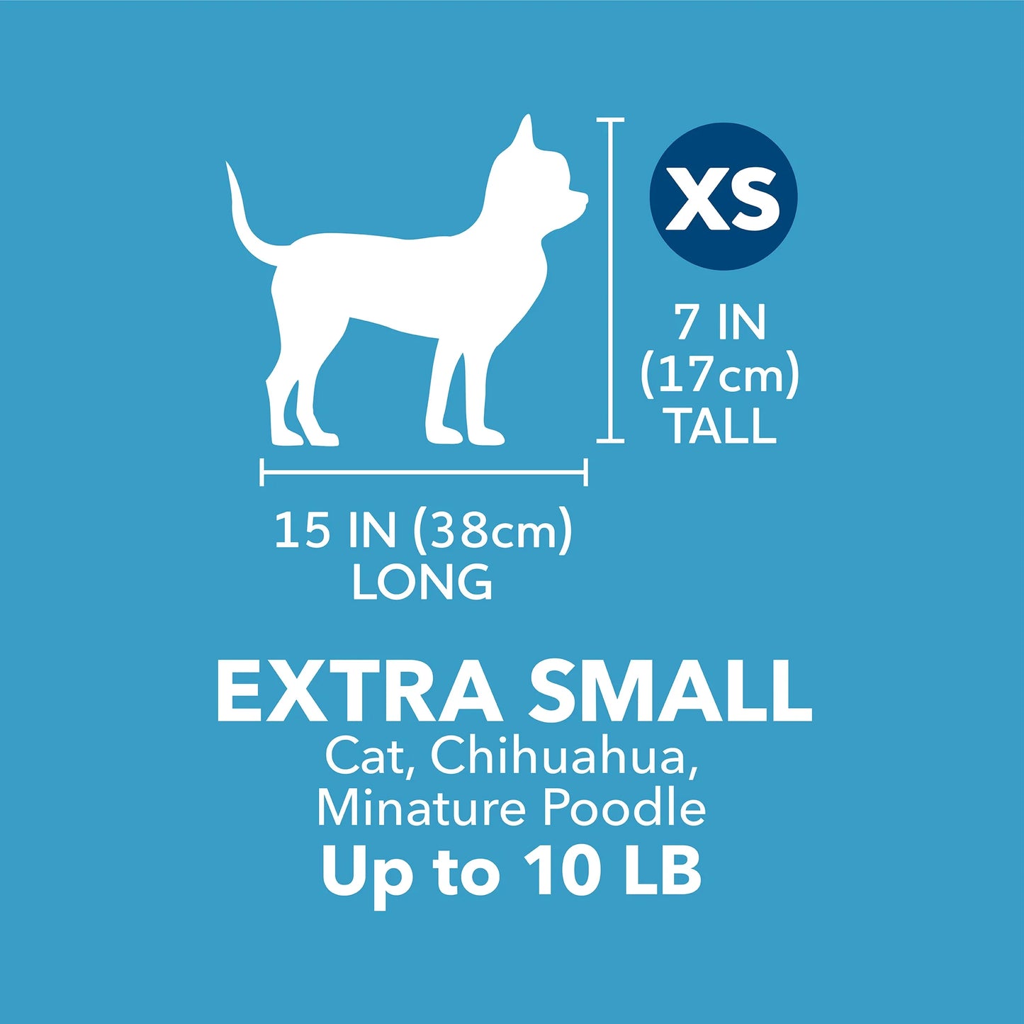 Pet Portable Kennel for Dogs, Hard-Sided Travel Carrier, Durable, Metal Door, Black & Grey, for Pets up to 10 Lbs, 19" L X 12.3" W X 10.8" H