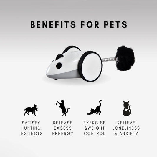 Purechase Smart Cat Toy, Interactive Automatic Mouse Shaped Toy for Pets, App Enabled with Adjustable Speed, Flip Modes, Replaceable Plush Tail and USB Charging for Kittens and Dogs