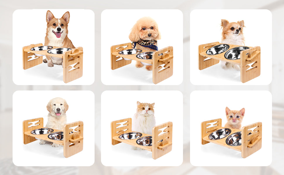 Elevated Dog Cat Bowls - Adjustable Raised Stand with Double Stainless Steel Bowls - Deribla Store