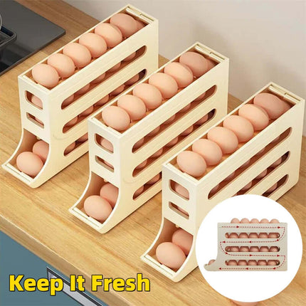 Egg Holder for Refrigerator