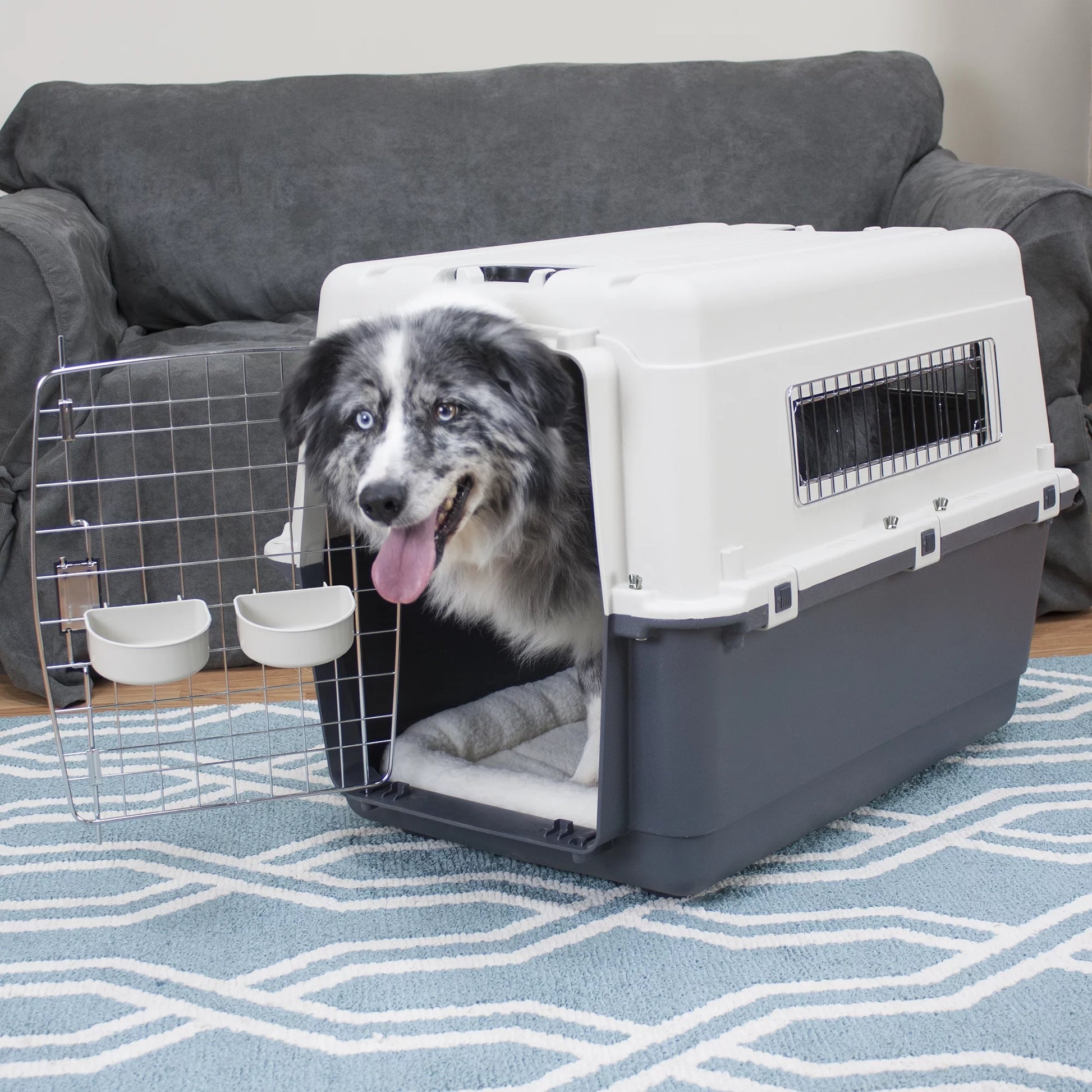 Plastic Kennel for Dogs, Wire Door, IATA Airline Approved, Travel Crate, with Wheels, Gray, Large, 32" L X 22" W X 23" H