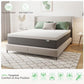 12-In Medium Twin Extra Long Memory Foam Mattress in a Box