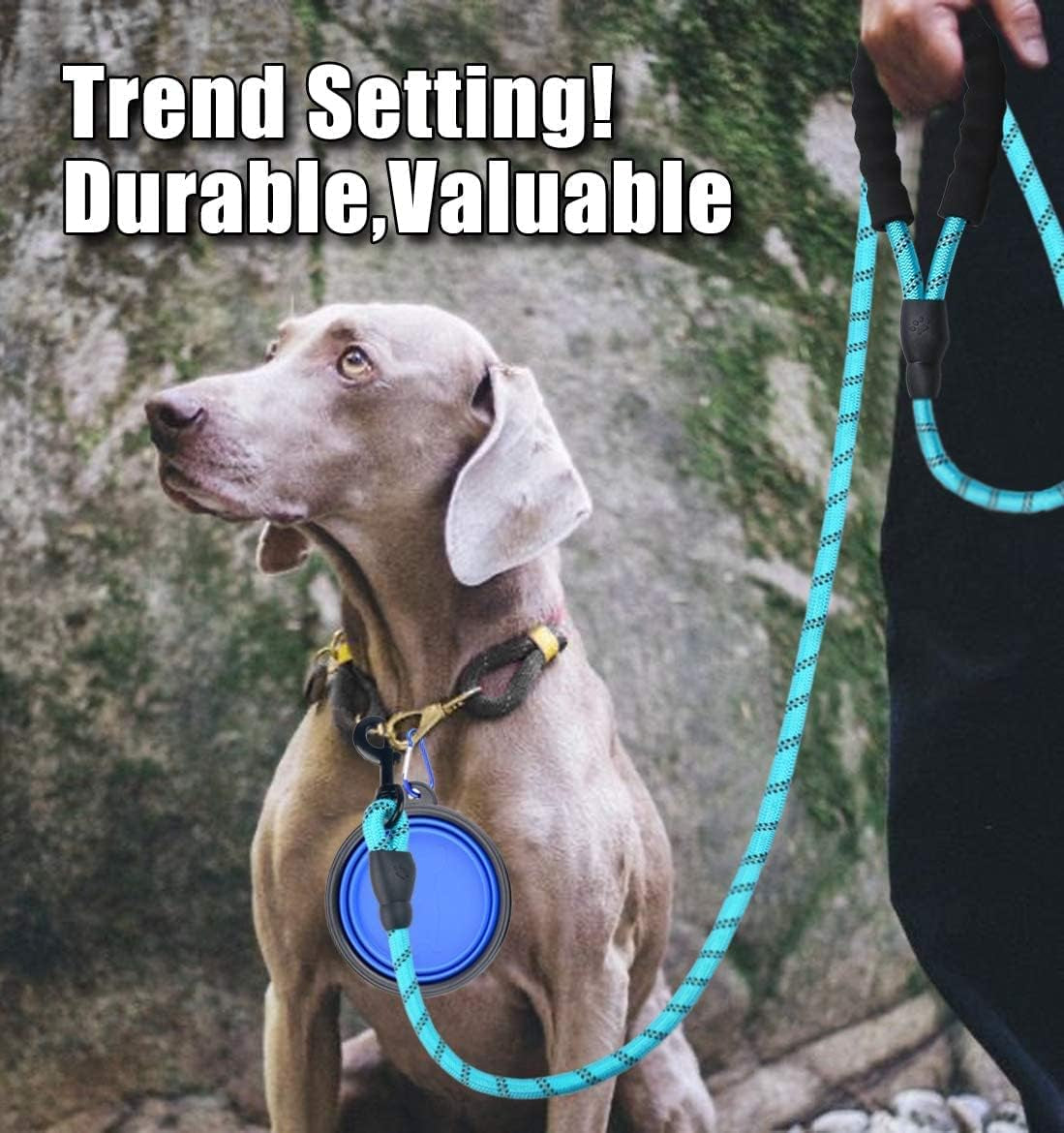 Dog Leash - 2FT/5FT/6FT Thick Nylon Rope with Comfortable Padded Handle, Reflective, Collapsible Pet Bowl & Garbage Bags (Blue, 1/3" X 5 FT)