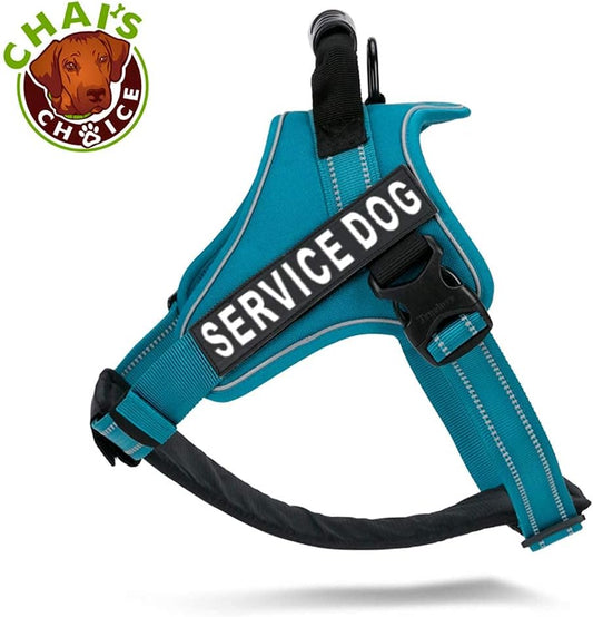 Dog Harness Vest X Small (Teal Blue) | Comfortable & Lightweight Soft Padded Vest for Service Dogs | No-Choke & Easy Control Pet Oxford | 3M Reflective Patches for Dog Visibility