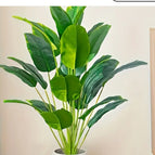 18 Coconut Leaves