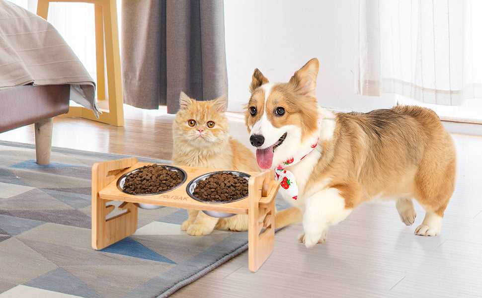 Elevated Dog Cat Bowls - Adjustable Raised Stand with Double Stainless Steel Bowls - Deribla Store