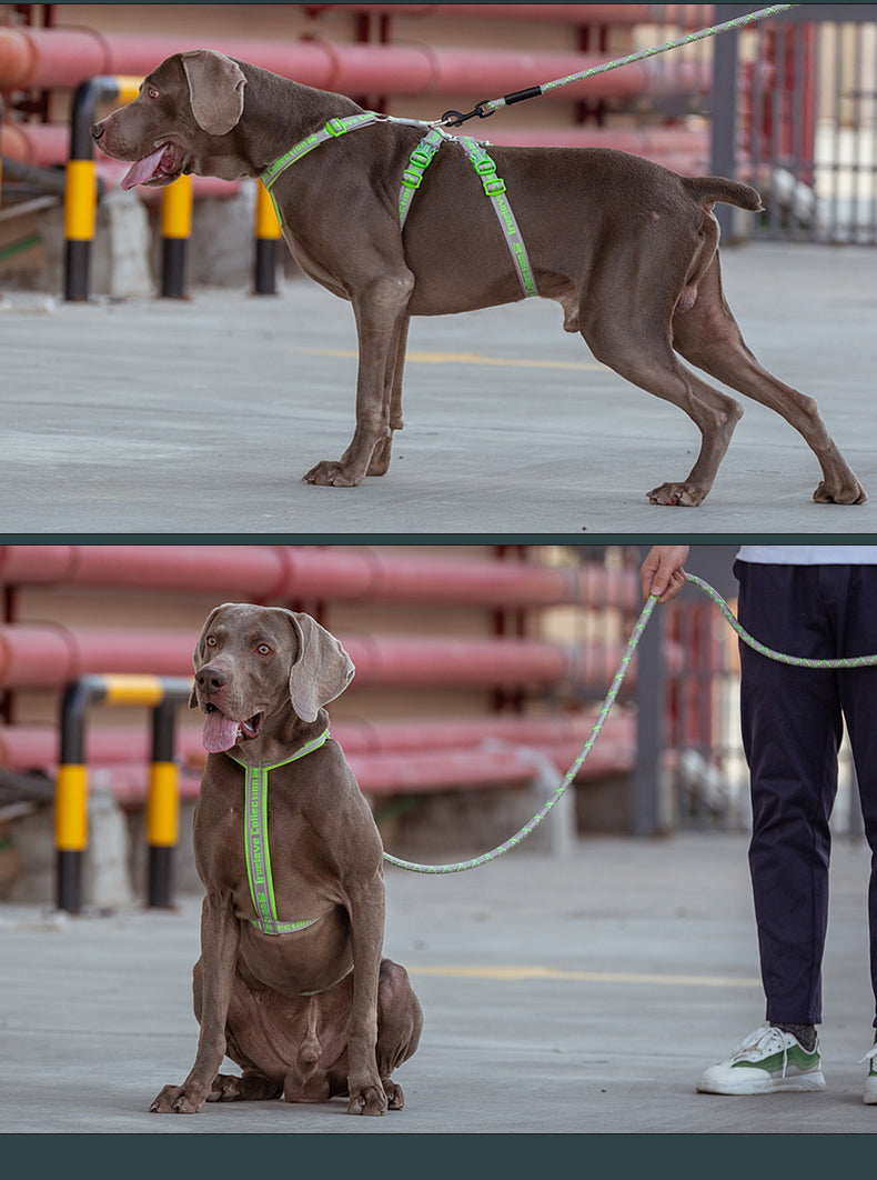 TrueLove Dog Harness 