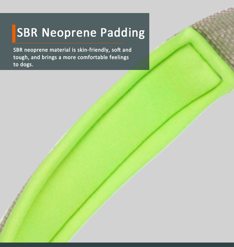 TrueLove Dog Harness 