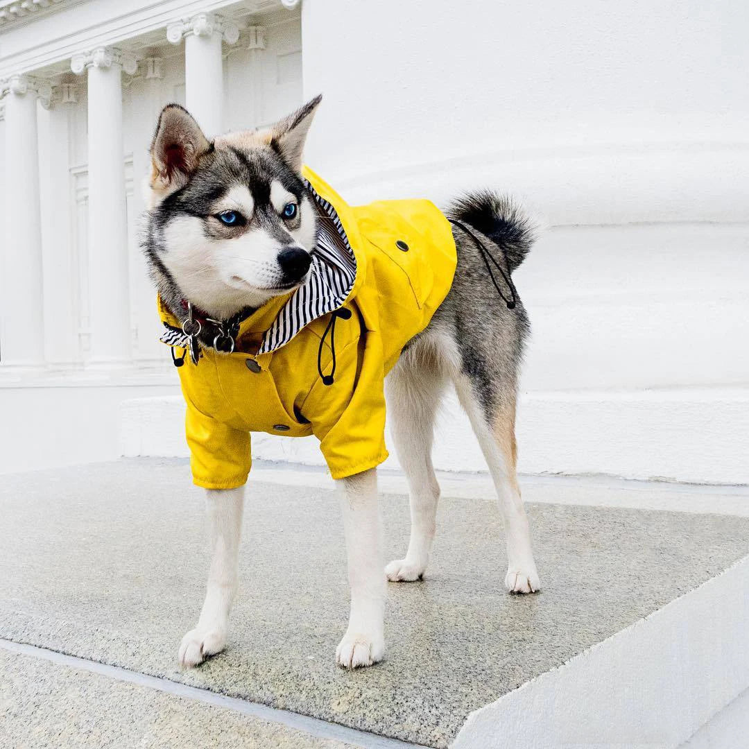 Yellow Dog Raincoat - Windproof & Waterproof Hoodie Jacket for Small to Large Dogs - Deribla Store