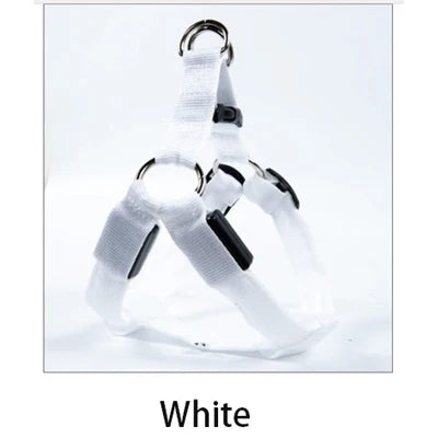 LED Dog Safety Harness