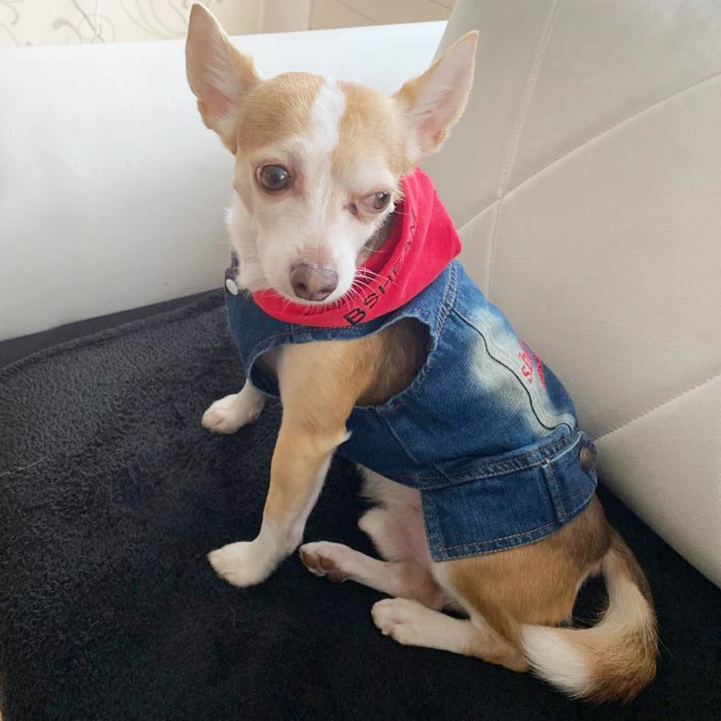 Summer Denim Dog Jacket - Stylish Cowboy Shirt for Small Dogs & Cats - Deribla Store