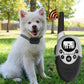 1000m Waterproof Dog Training Collar - Rechargeable Anti-Bark Remote Control - Deribla Store
