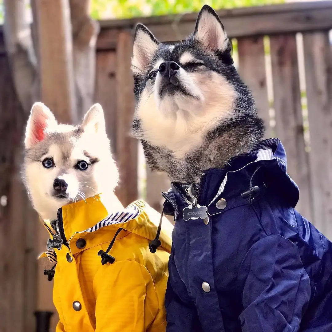Yellow Dog Raincoat - Windproof & Waterproof Hoodie Jacket for Small to Large Dogs - Deribla Store