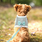 Rhinestone Dog Harness & Leash Set - Soft Warm Vest with Bowknot for Small Dogs & Cats - Deribla Store