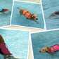 Dog Life Jacket - Safety Swimming Vest for Pets XXS-XXL - Deribla Store