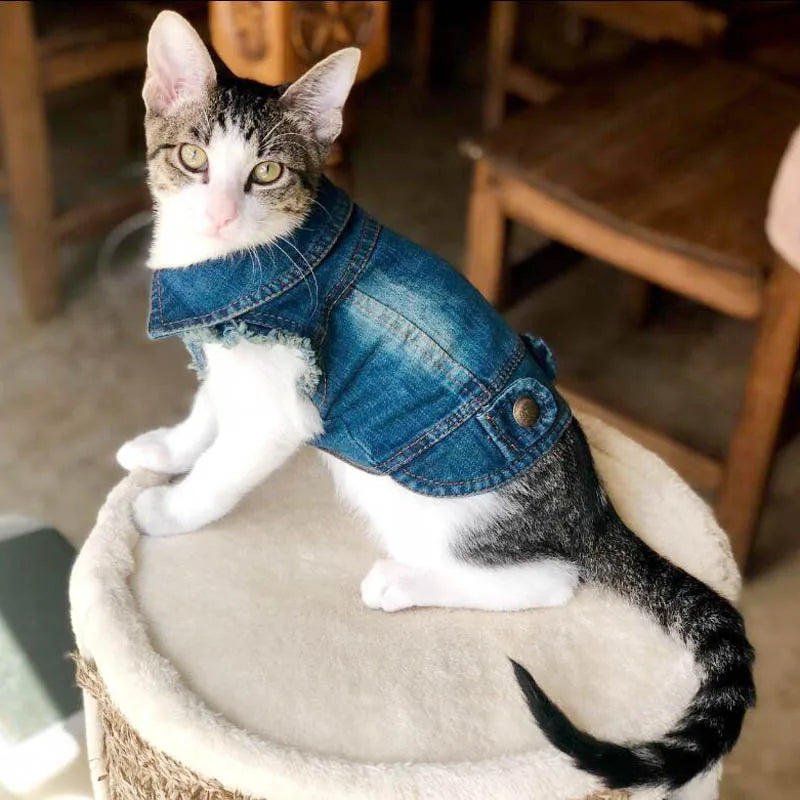 Summer Denim Dog Jacket - Stylish Cowboy Shirt for Small Dogs & Cats - Deribla Store