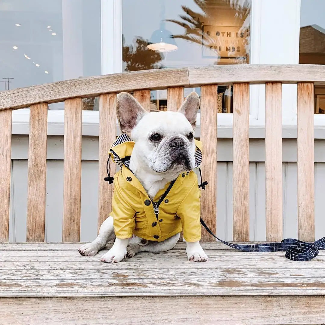 Yellow Dog Raincoat - Windproof & Waterproof Hoodie Jacket for Small to Large Dogs - Deribla Store