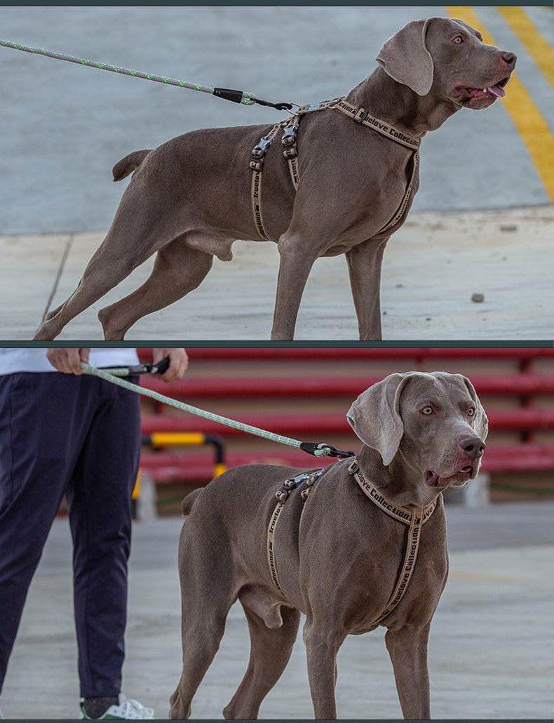 TrueLove Dog Harness 