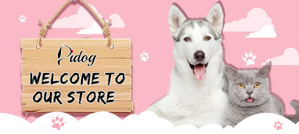 Personalized Cat Collar Breakaway