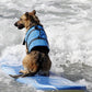 Dog Life Jacket - Safety Swimming Vest for Pets XXS-XXL - Deribla Store