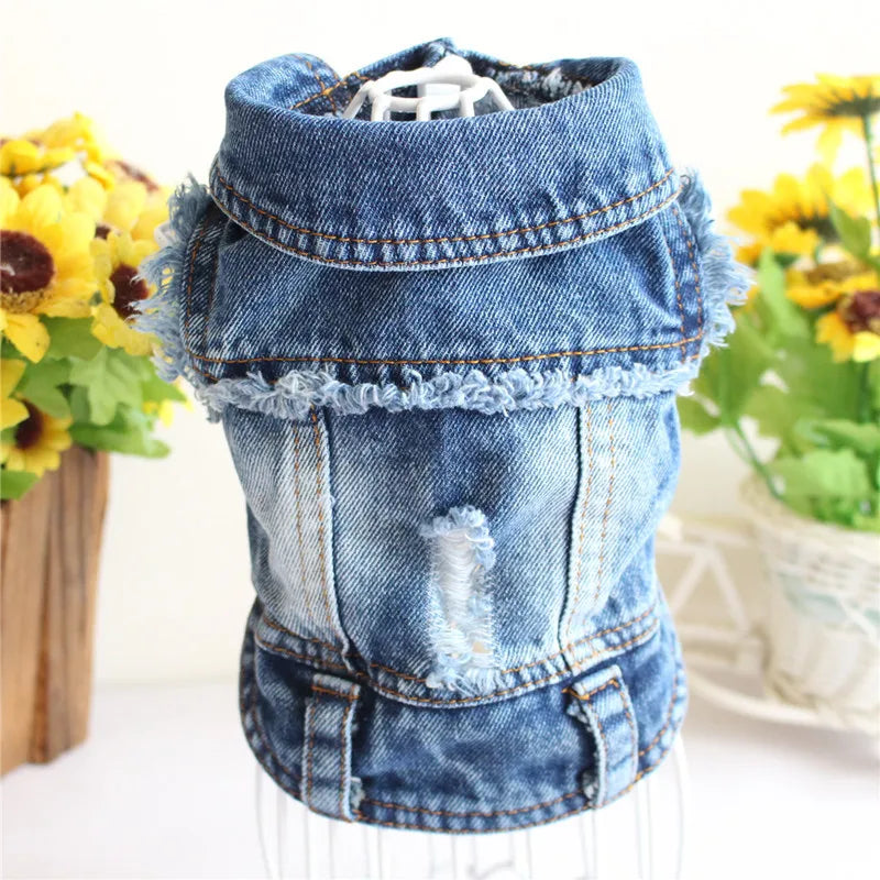 Summer Denim Dog Jacket - Stylish Cowboy Shirt for Small Dogs & Cats - Deribla Store