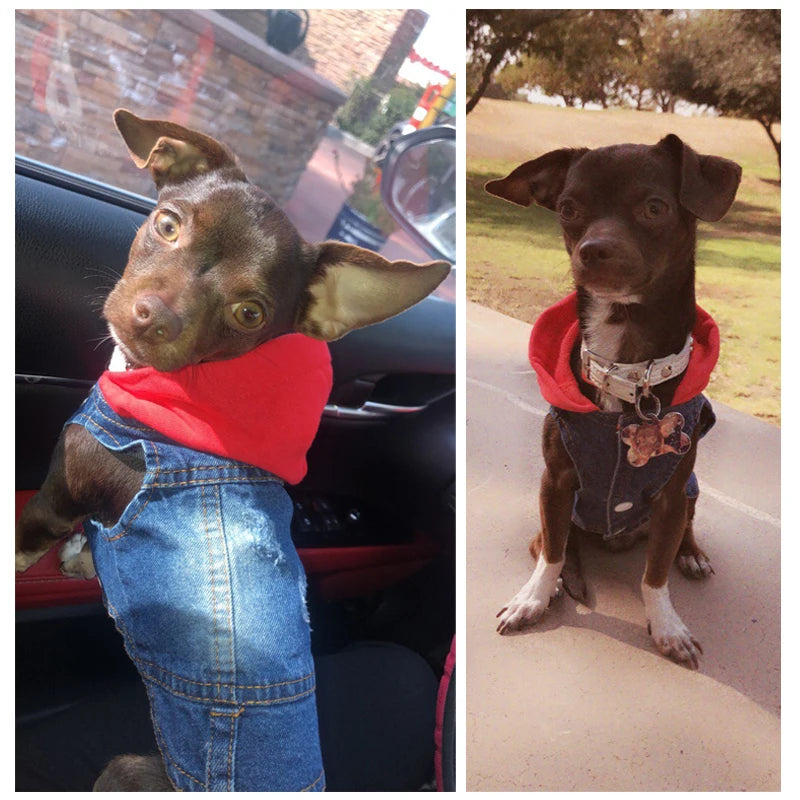 Summer Denim Dog Jacket - Stylish Cowboy Shirt for Small Dogs & Cats - Deribla Store