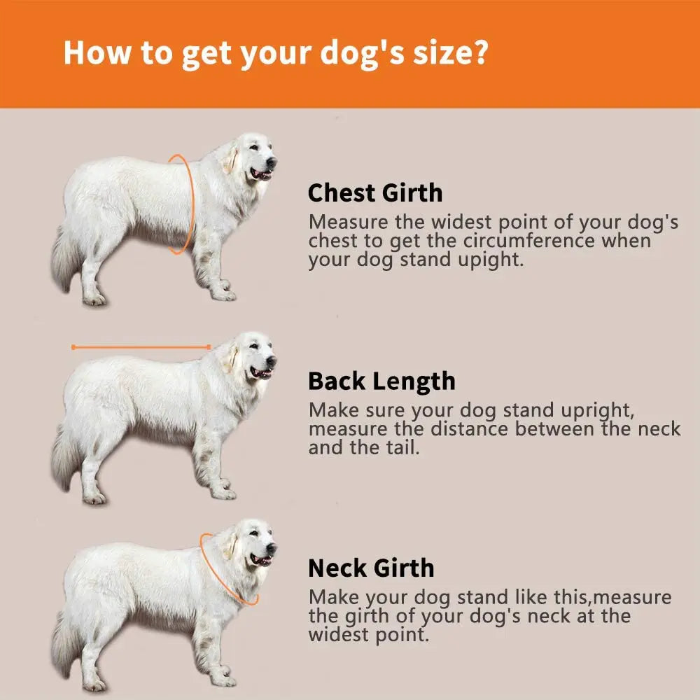 Dog Life Jacket - Safety Swimming Vest for Pets XXS-XXL - Deribla Store