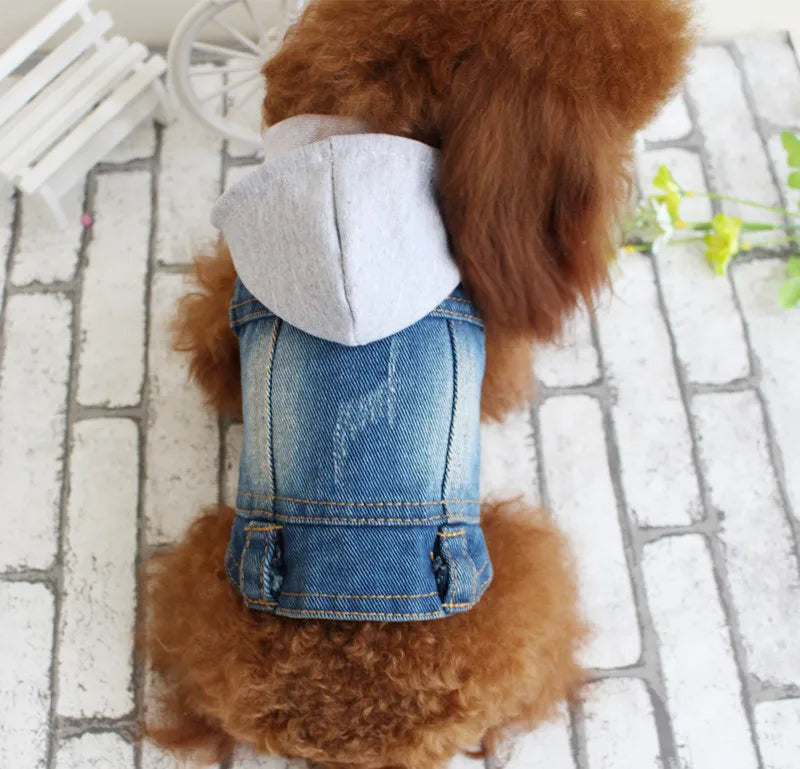 Summer Denim Dog Jacket - Stylish Cowboy Shirt for Small Dogs & Cats - Deribla Store