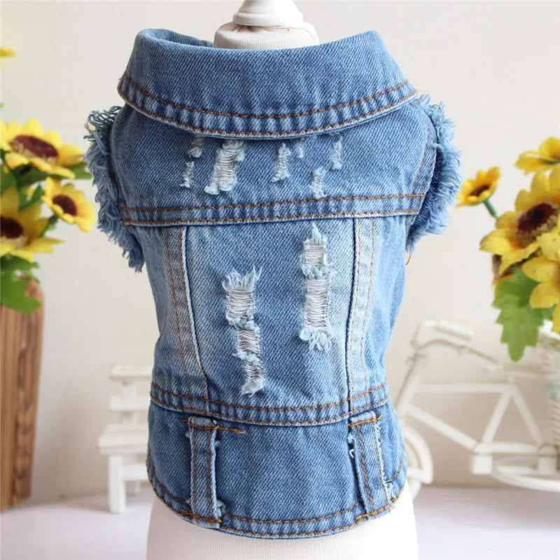 Summer Denim Dog Jacket - Stylish Cowboy Shirt for Small Dogs & Cats - Deribla Store