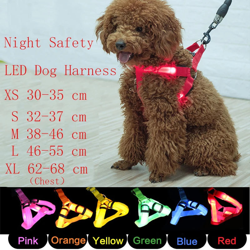 LED Dog Safety Harness