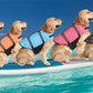 Dog Life Jacket - Safety Swimming Vest for Pets XXS-XXL - Deribla Store