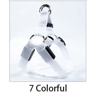 LED Dog Safety Harness