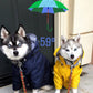Yellow Dog Raincoat - Windproof & Waterproof Hoodie Jacket for Small to Large Dogs - Deribla Store