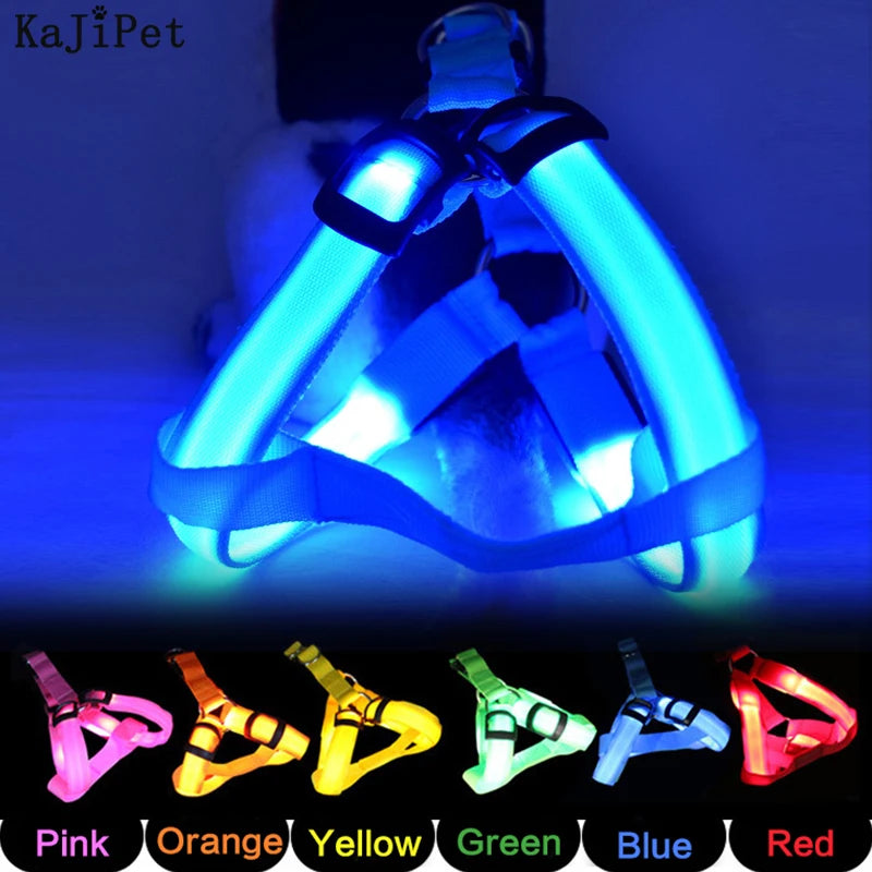 LED Dog Safety Harness