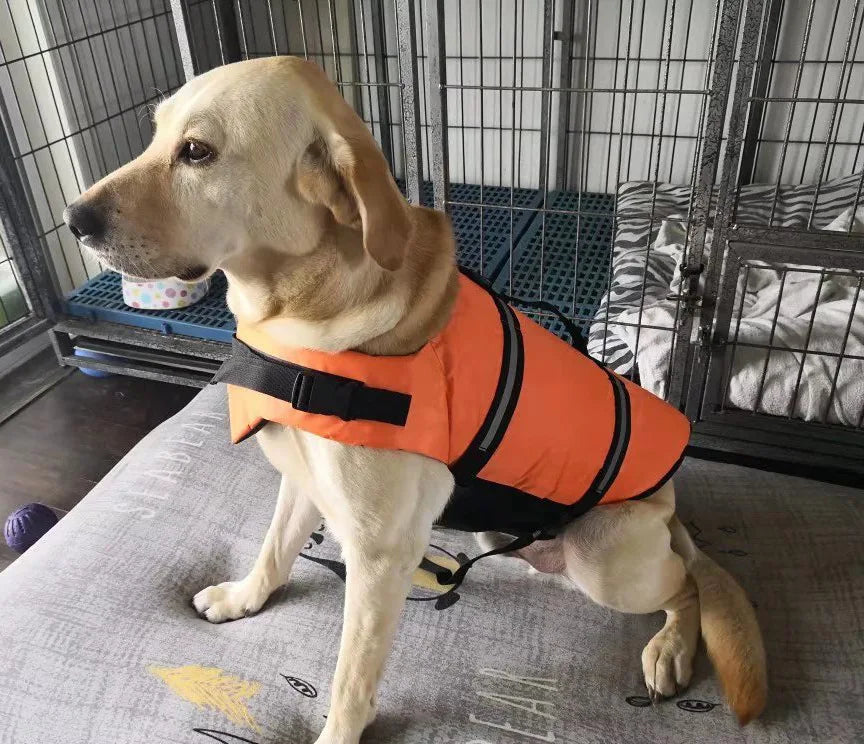Dog Life Jacket - Safety Swimming Vest for Pets XXS-XXL - Deribla Store