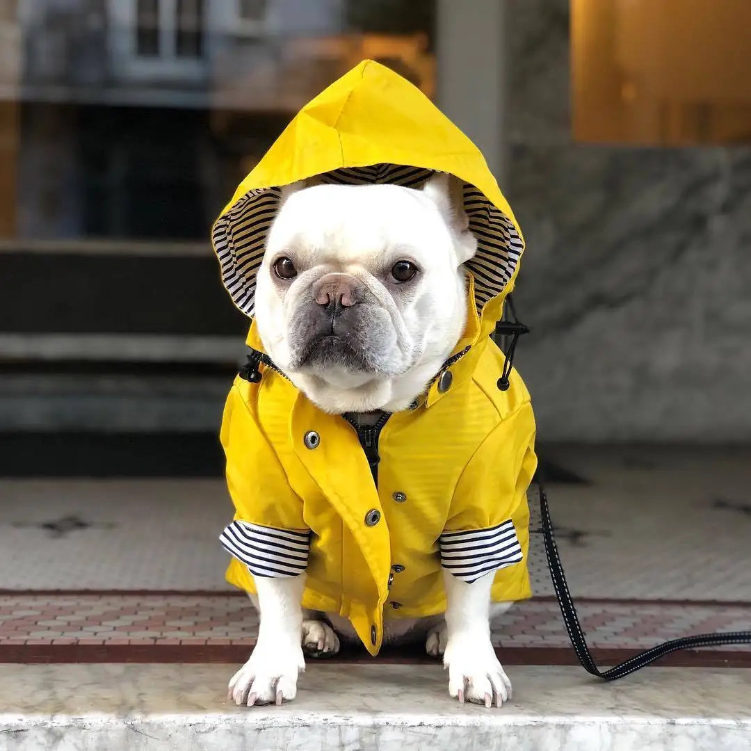 Yellow Dog Raincoat - Windproof & Waterproof Hoodie Jacket for Small to Large Dogs - Deribla Store