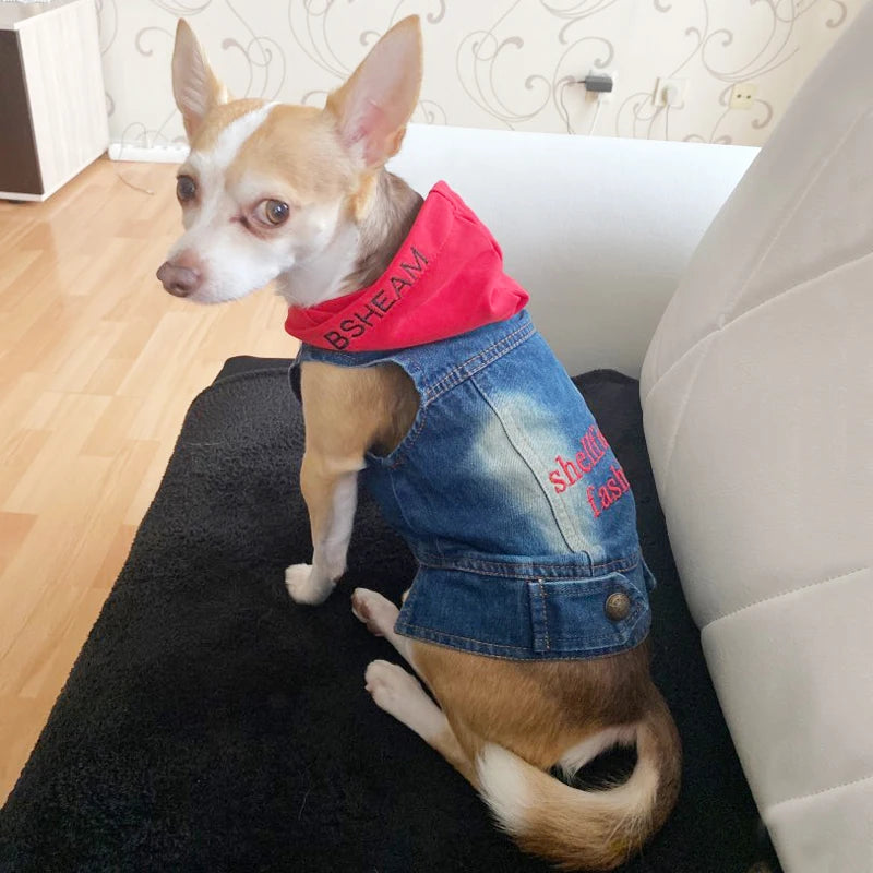 Summer Denim Dog Jacket - Stylish Cowboy Shirt for Small Dogs & Cats - Deribla Store