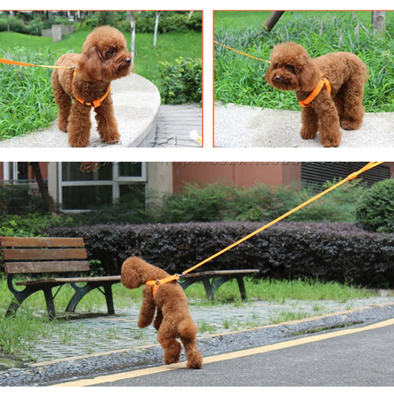 LED Dog Safety Harness