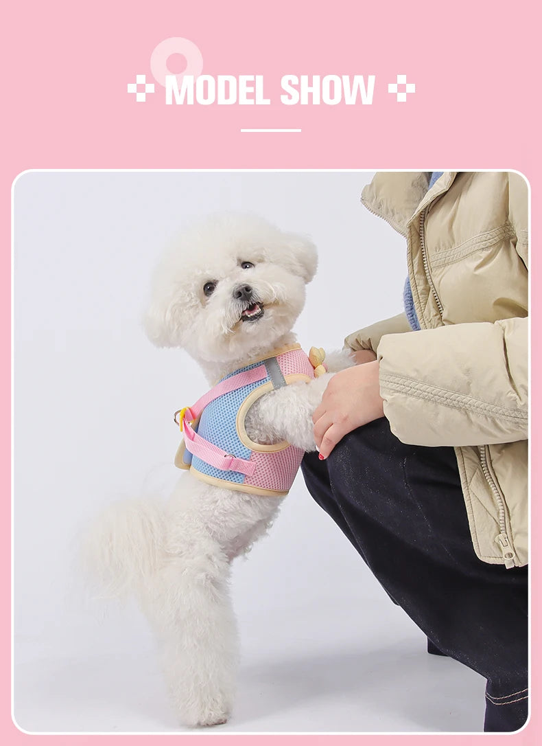 Mesh Dog Harness Leash Set