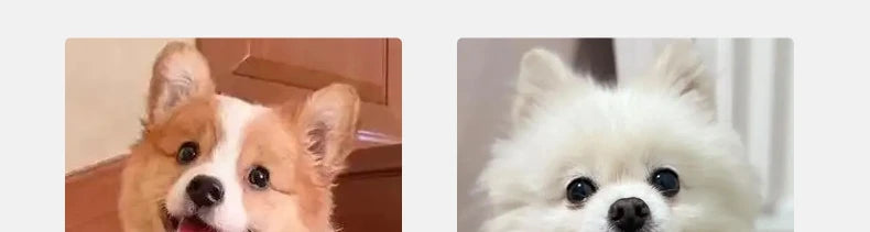 Pet Stairs 2/3 Steps - Memory Foam Dog Ramp with Non-Slip Washable Cover - Deribla Store